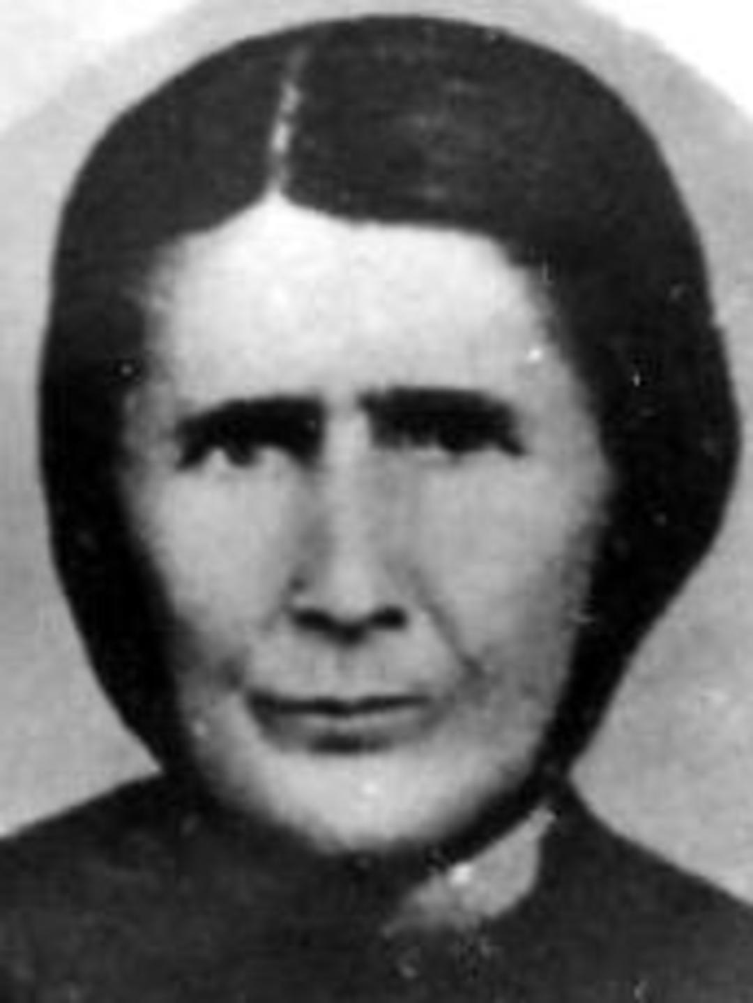 Emma Amy Jane Washburn (1832 - 1888) Profile